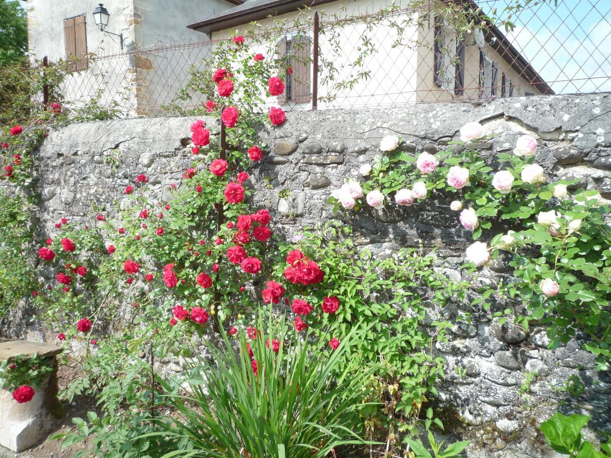 Bearn Bed & Breakfast Pau Exterior photo